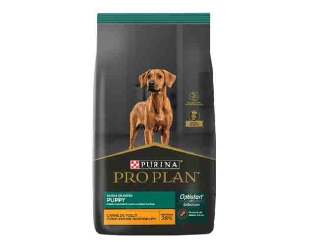 PRO PLAN PUPPY LARGE X 15 KG