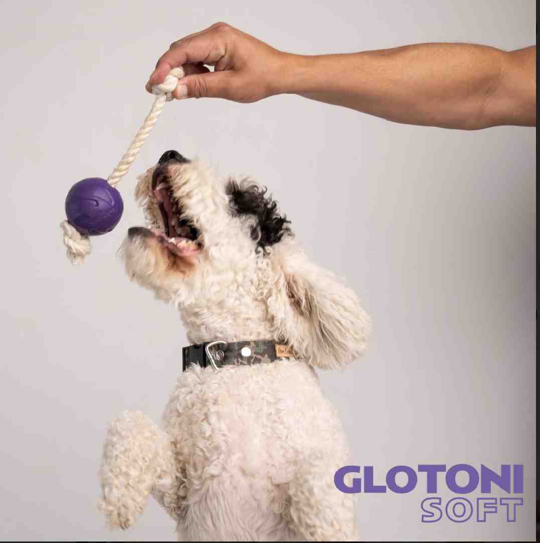 GLOTONI PELOTA CON SOGA SOFT