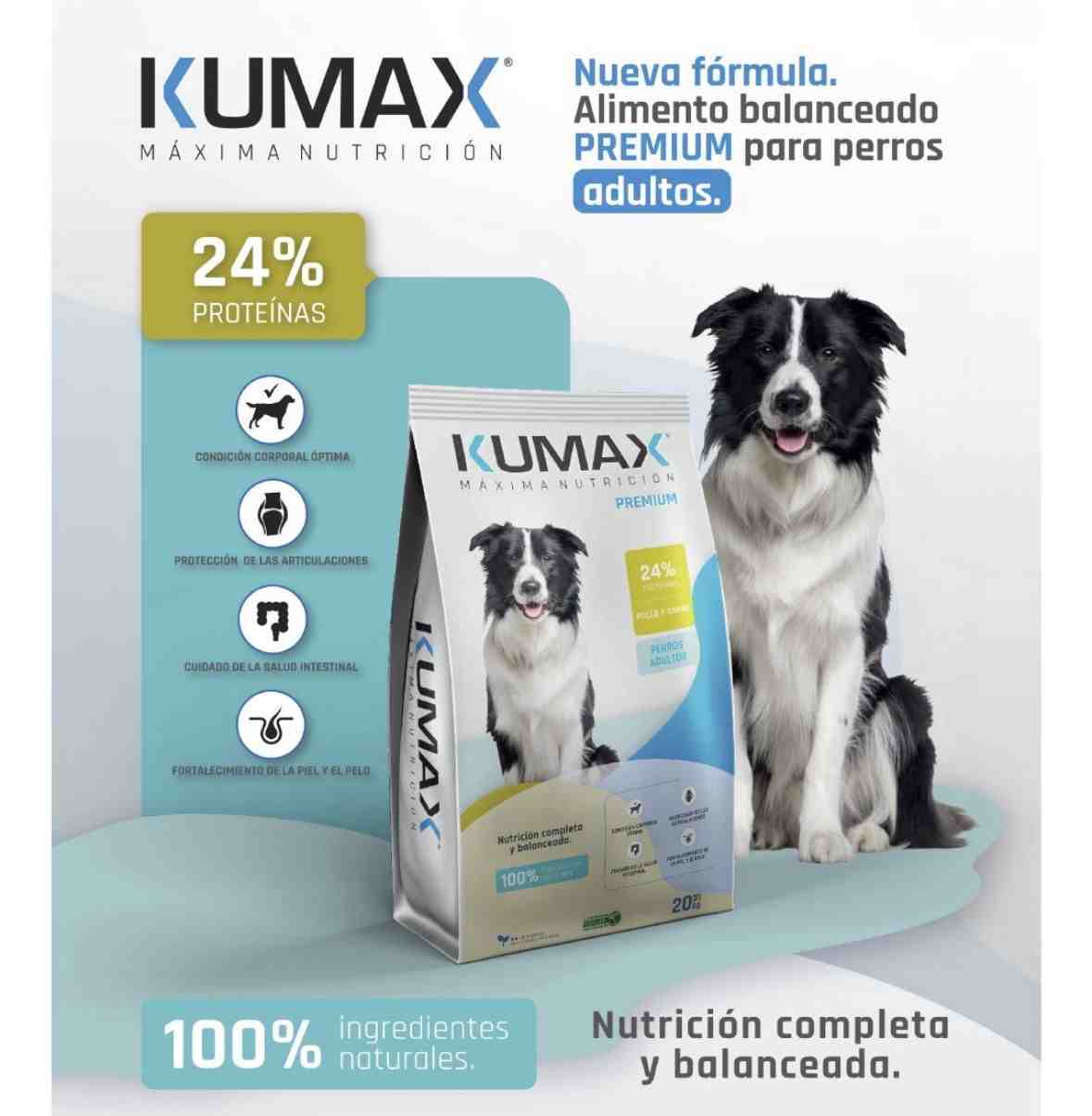 KUMAX PERROS ADULTOS X 20KG