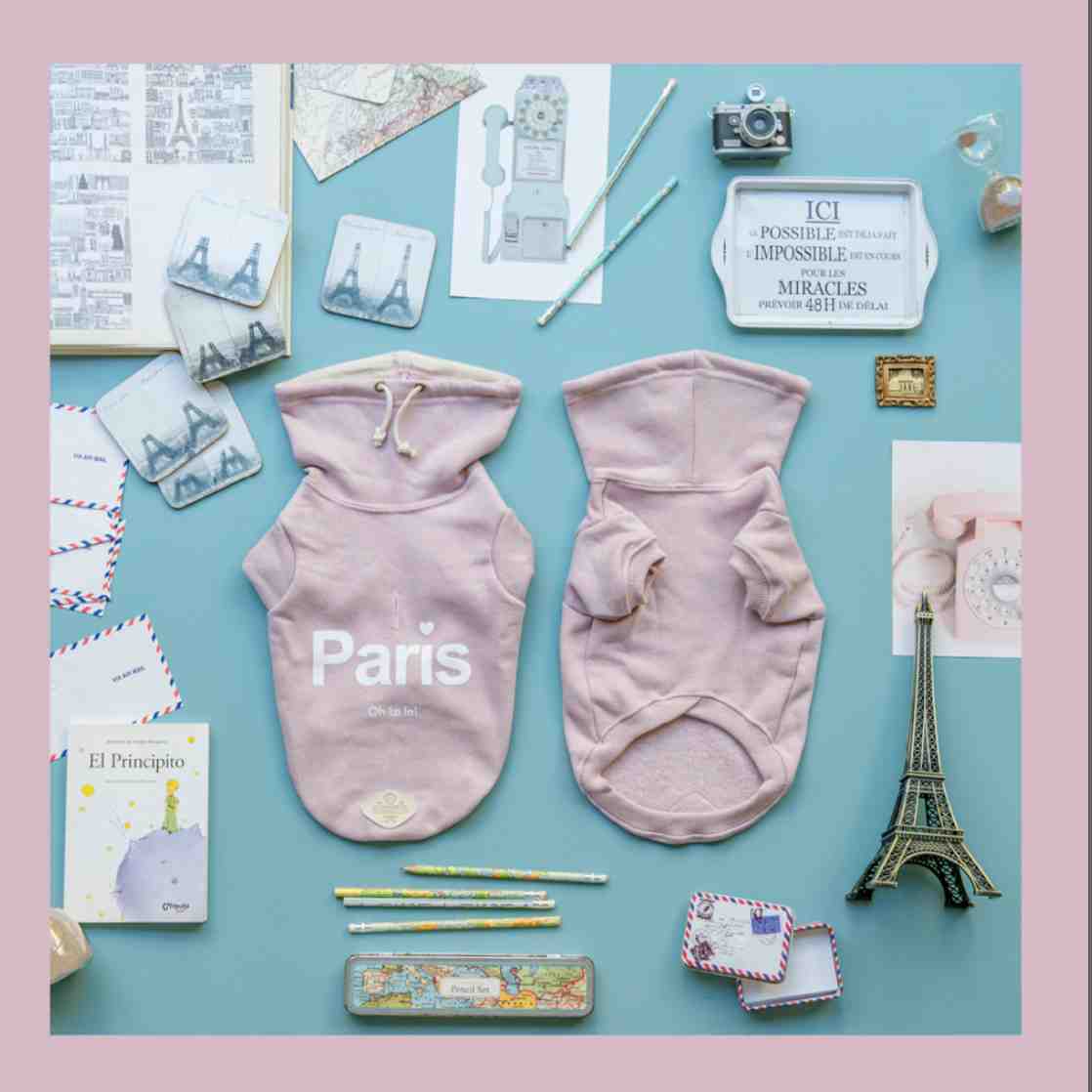ART 479 BUZO PARIS ROSA TALLE 4