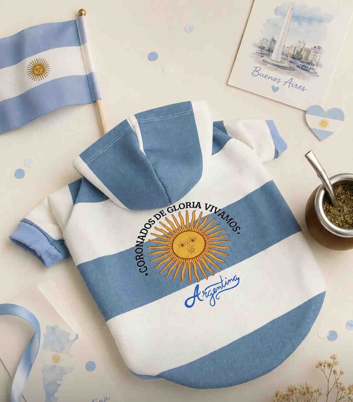 BUZO ARGENTINA CON MANGAS TALLE 1