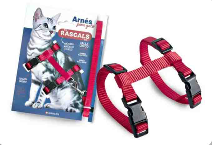 PRE111 ARNES PARA GATO ROJO RASCALS