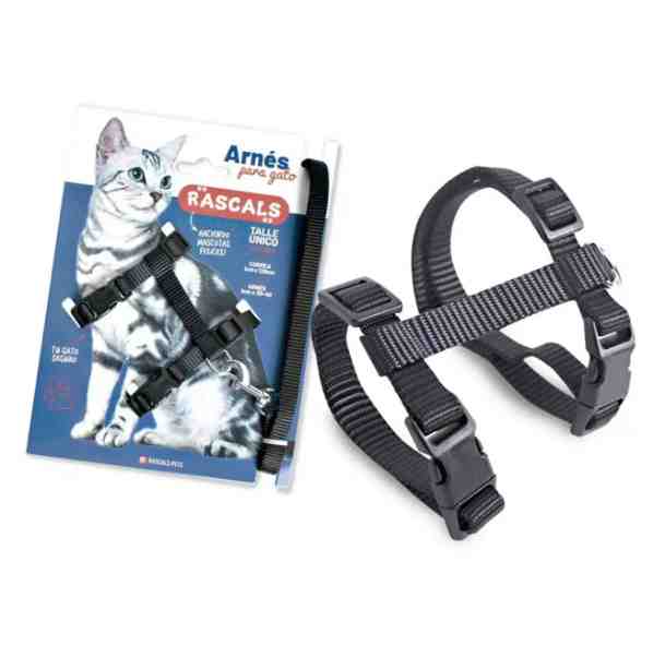 PRE112 ARNES GATO NEGRO RASCALS