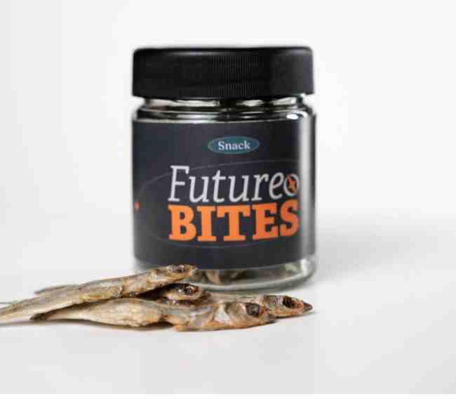 FUTURE BITES SNACK DESHIDRATADO SABOR  CORNALITO