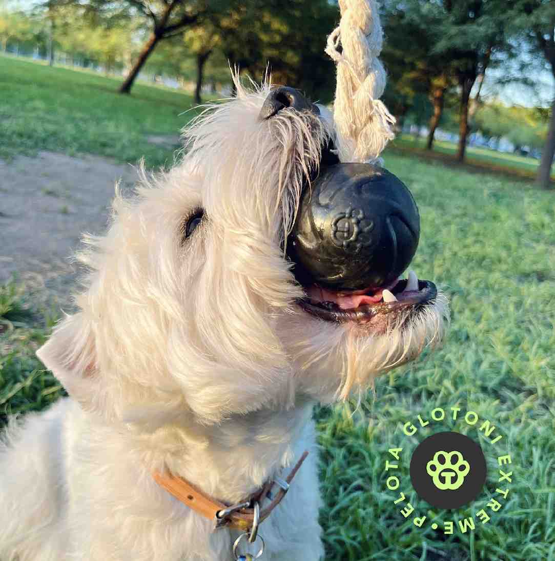 GLOTONI PELOTA CON SOGA EXTREME