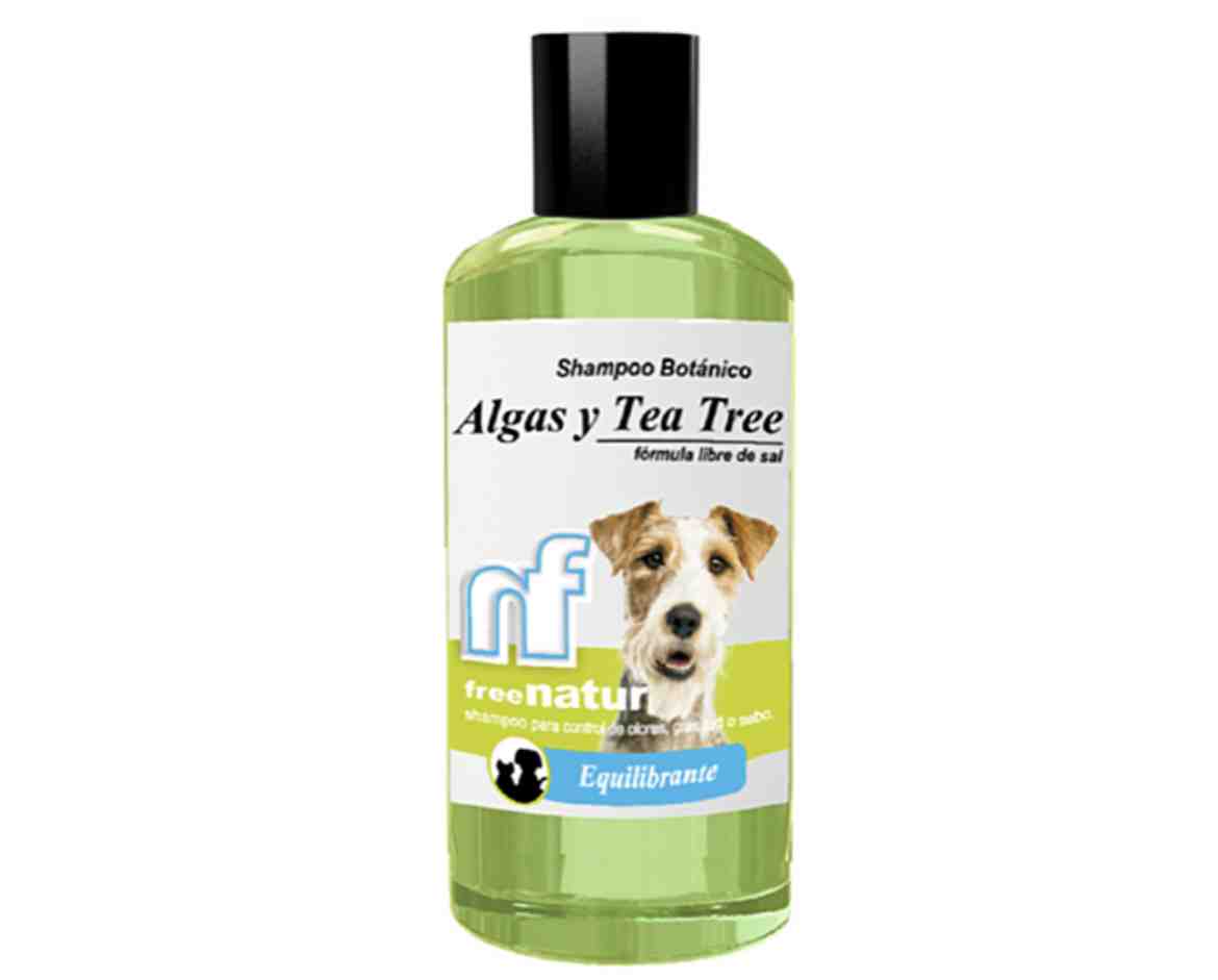 SHAMPOO MASKOTA ALGAS Y TEA TREE EQUILIBRANT 250ML