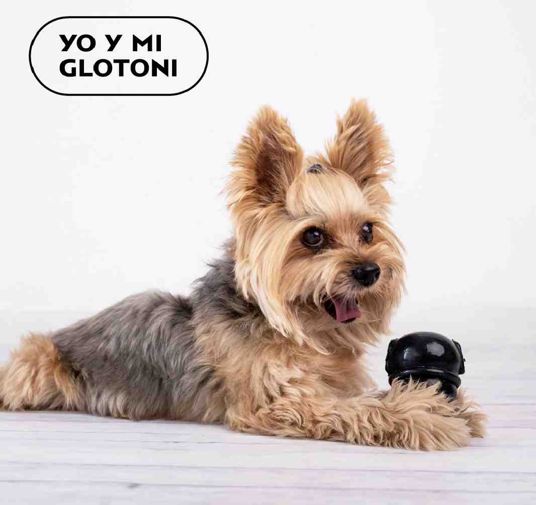 GLOTONI EXTREME S