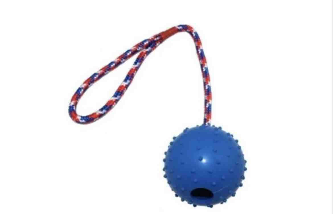 BP0052 PELOTA CON PUAS Y SOGA 