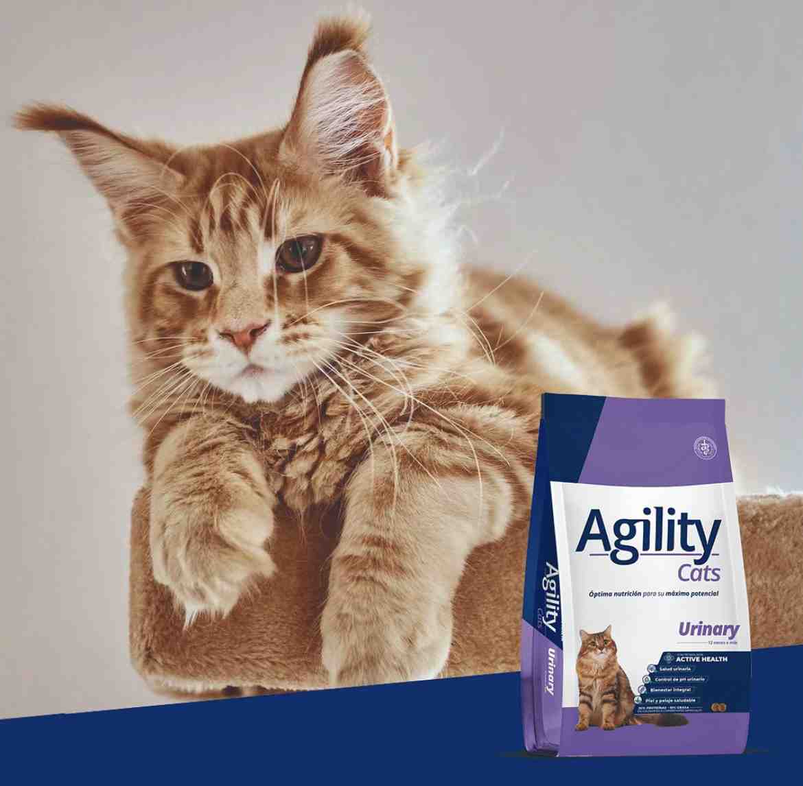 AGILITY CATS URINARY X 10 KG 