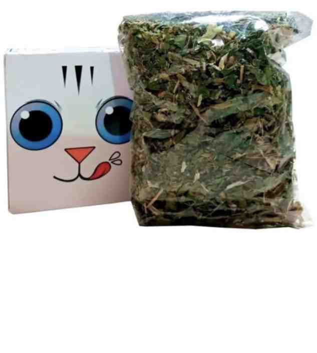 CATNIP DESHIDRATADO 