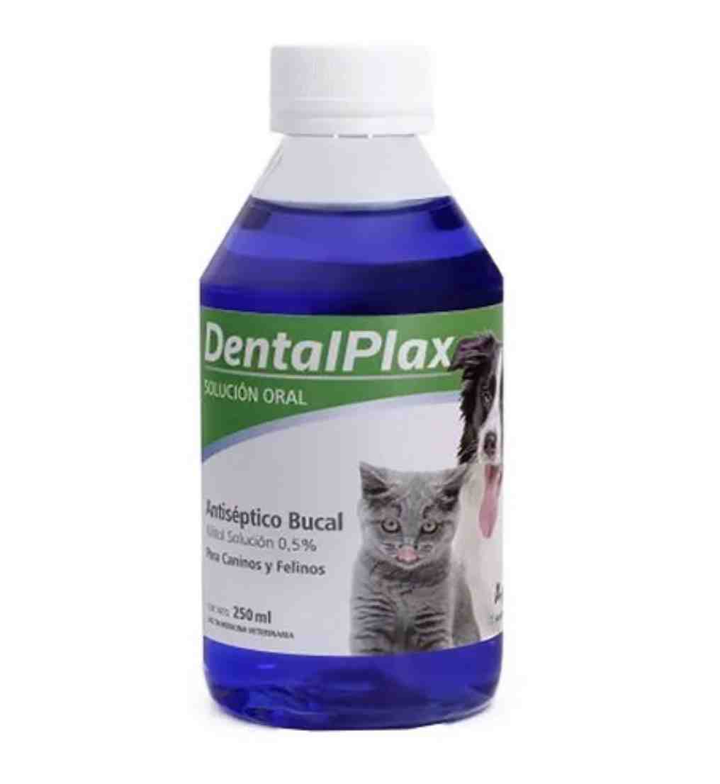 DENTAL PLAX ANTISEPTICO BUCAL X 250 ML