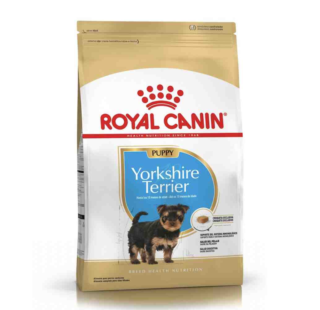 ROYAL YORKSHIRE TERRIER PUPPY X 3 KG 
