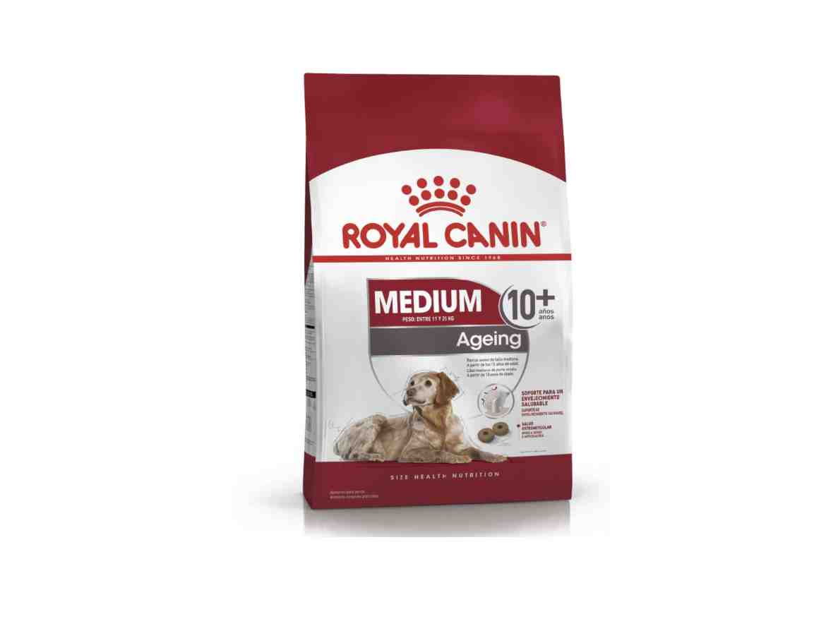 ROYAL MEDIUM ADUL +10 AÑOS X 15 KG 