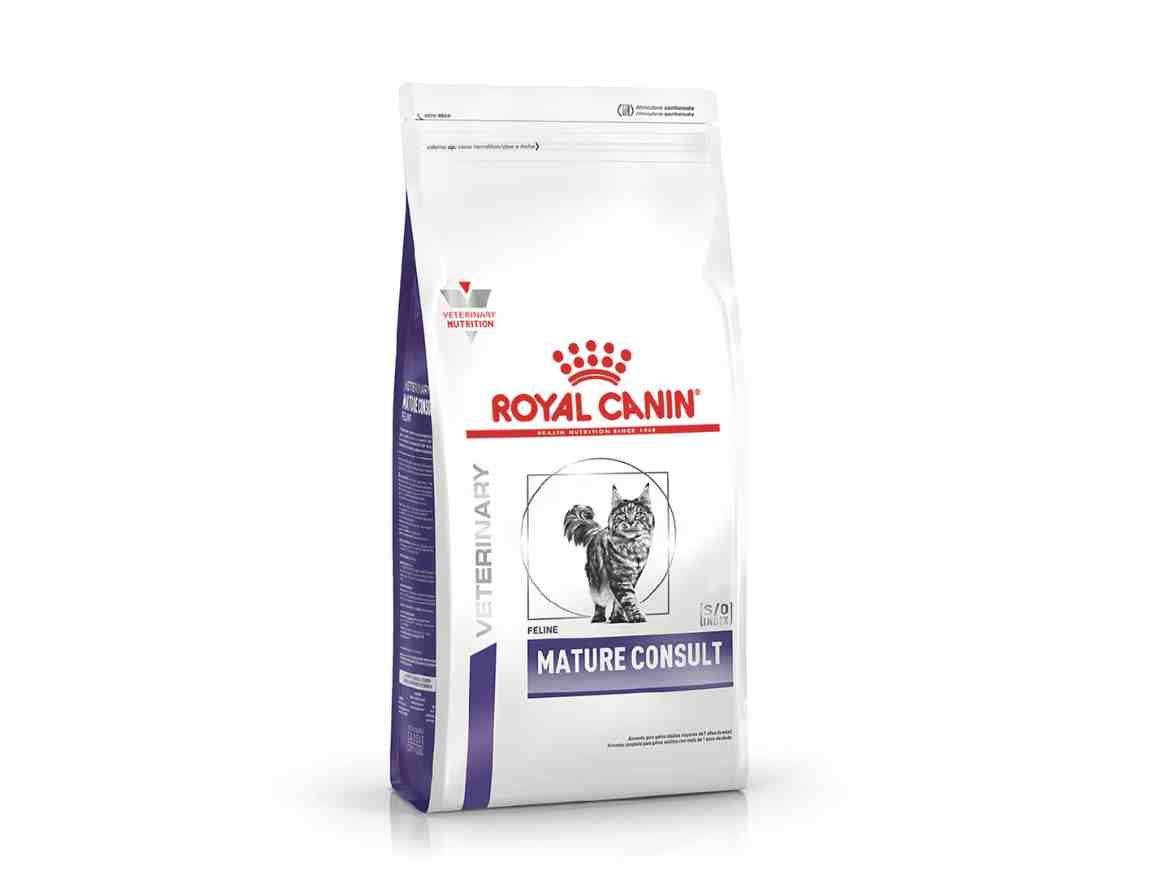 ROYAL GATO CONSULT MATURE X 3,5kg