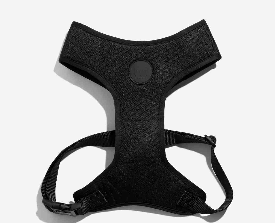 AIR MESH GOTHAM XS