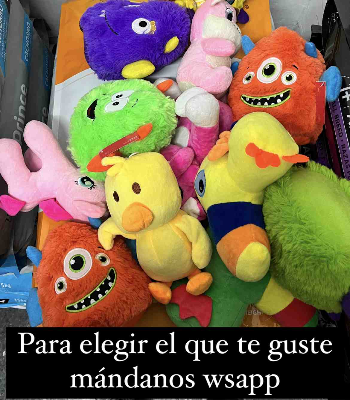 PELUCHES PETIT 