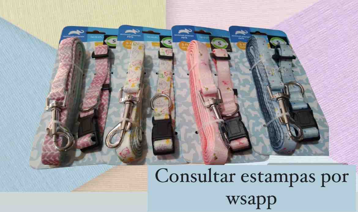 CONJUNTO COLLAR/CORREA ANIMAL PLANET L