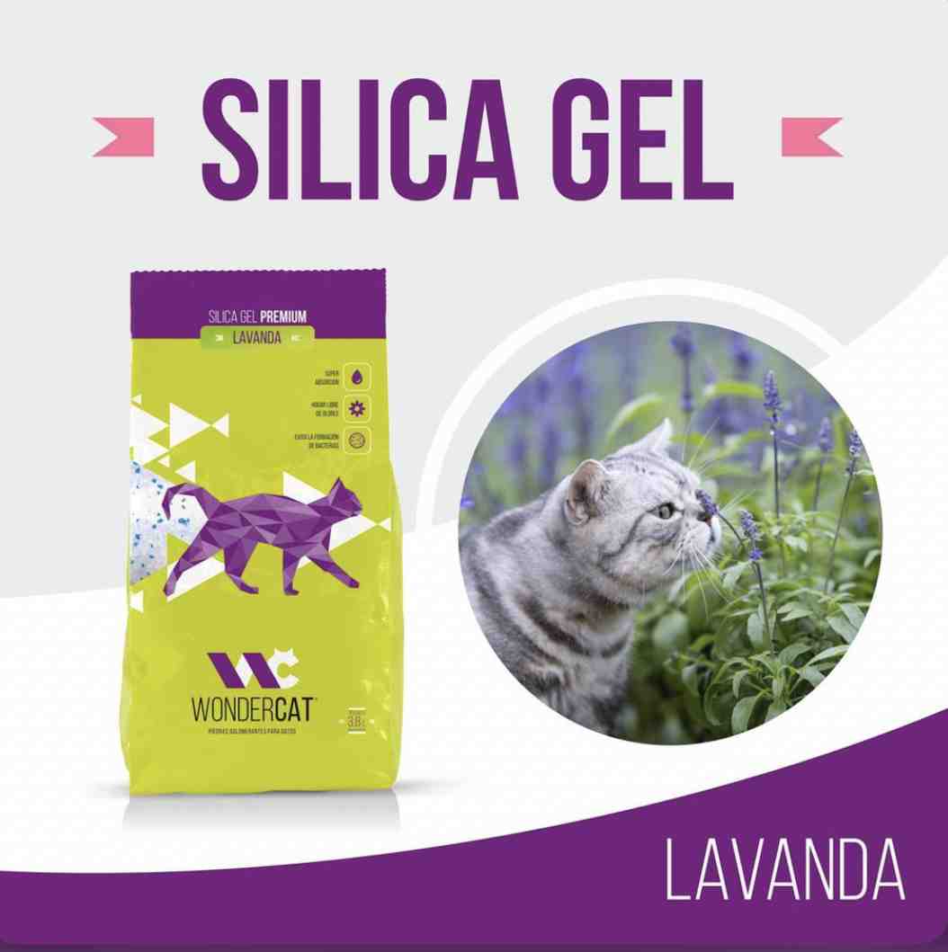 WONDER CAT SILICA DE LAVANDA X 3,8 LT