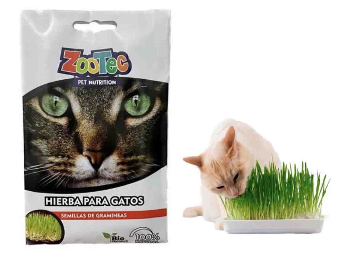 ZOOTEC HIERBA  GATERA