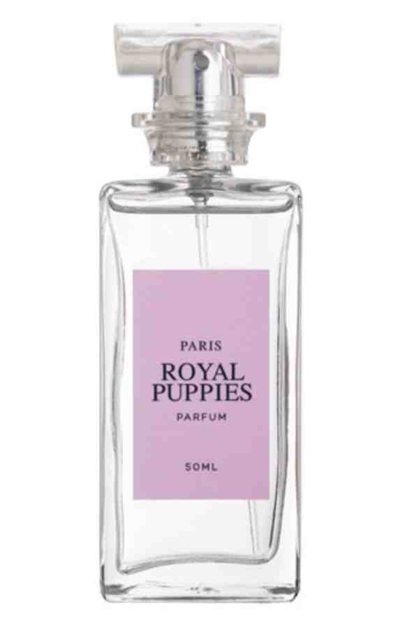 PERFUME ROYAL PARIS X 50 ML