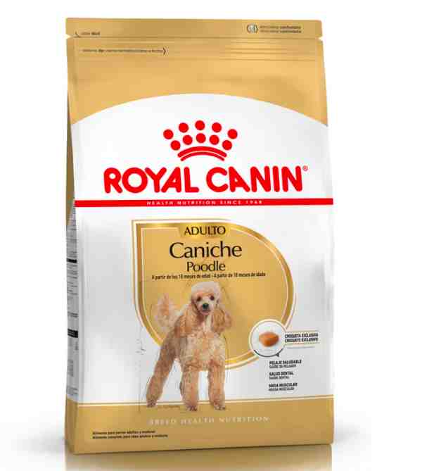 ROYAL CANIN CANICHE ADULTO X 3KG