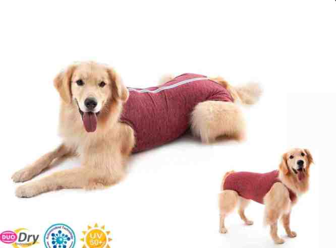 ROPA PROTECTORA UV Y POST QUIRURGICA TALLE 11