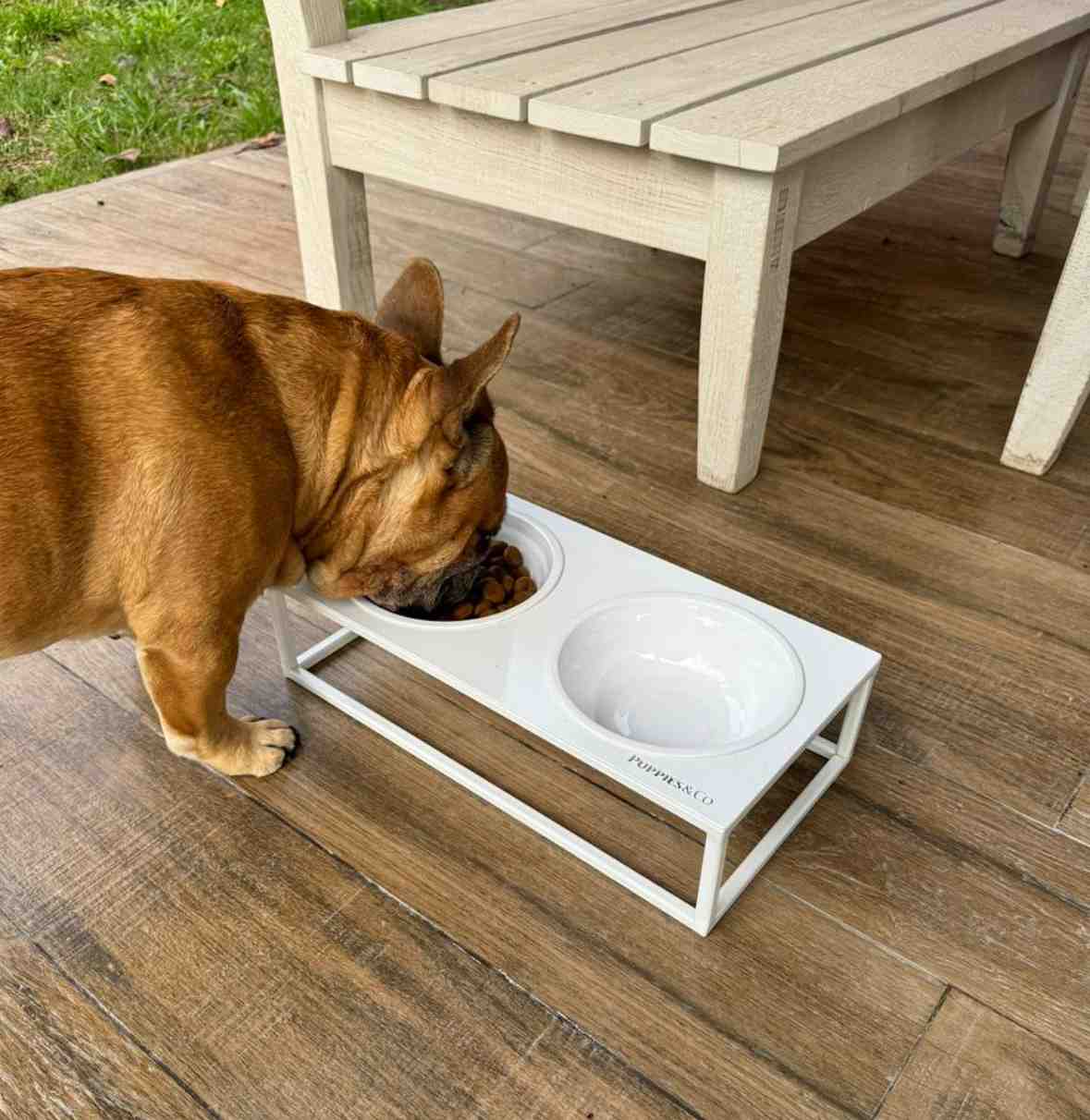 COMEDERO ELEVADO DOBLE IRON BLANCO TALLE S 40X20X12