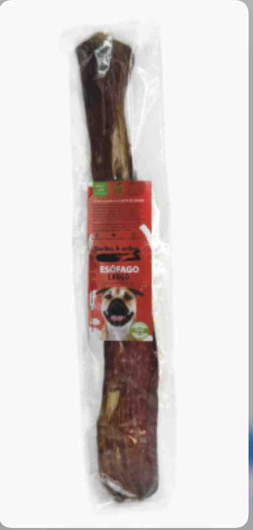 SWIBE & WIBE ESOFAGO LARGO