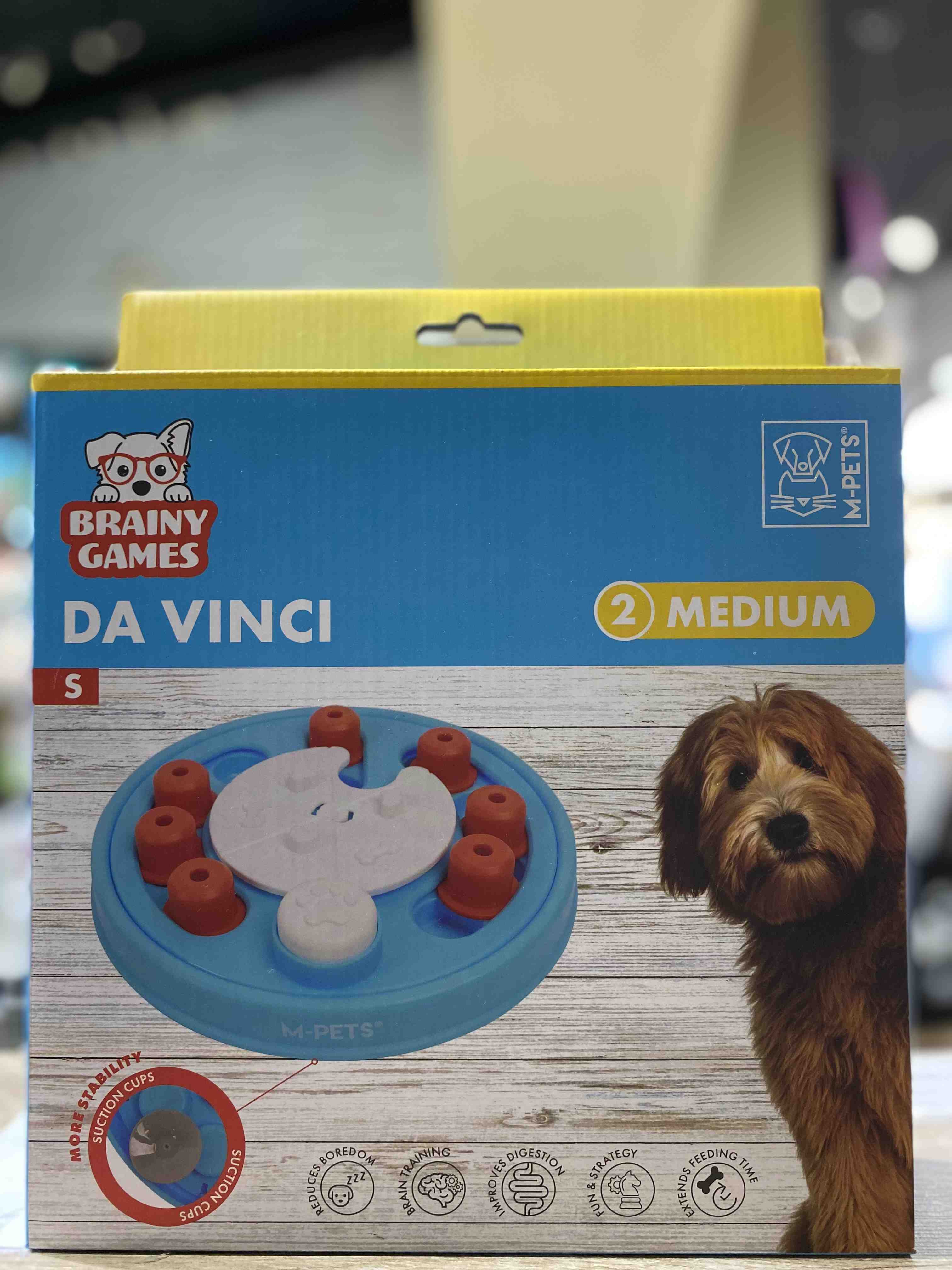 BRAINY GAMES DA VINCI (MEDIUM)