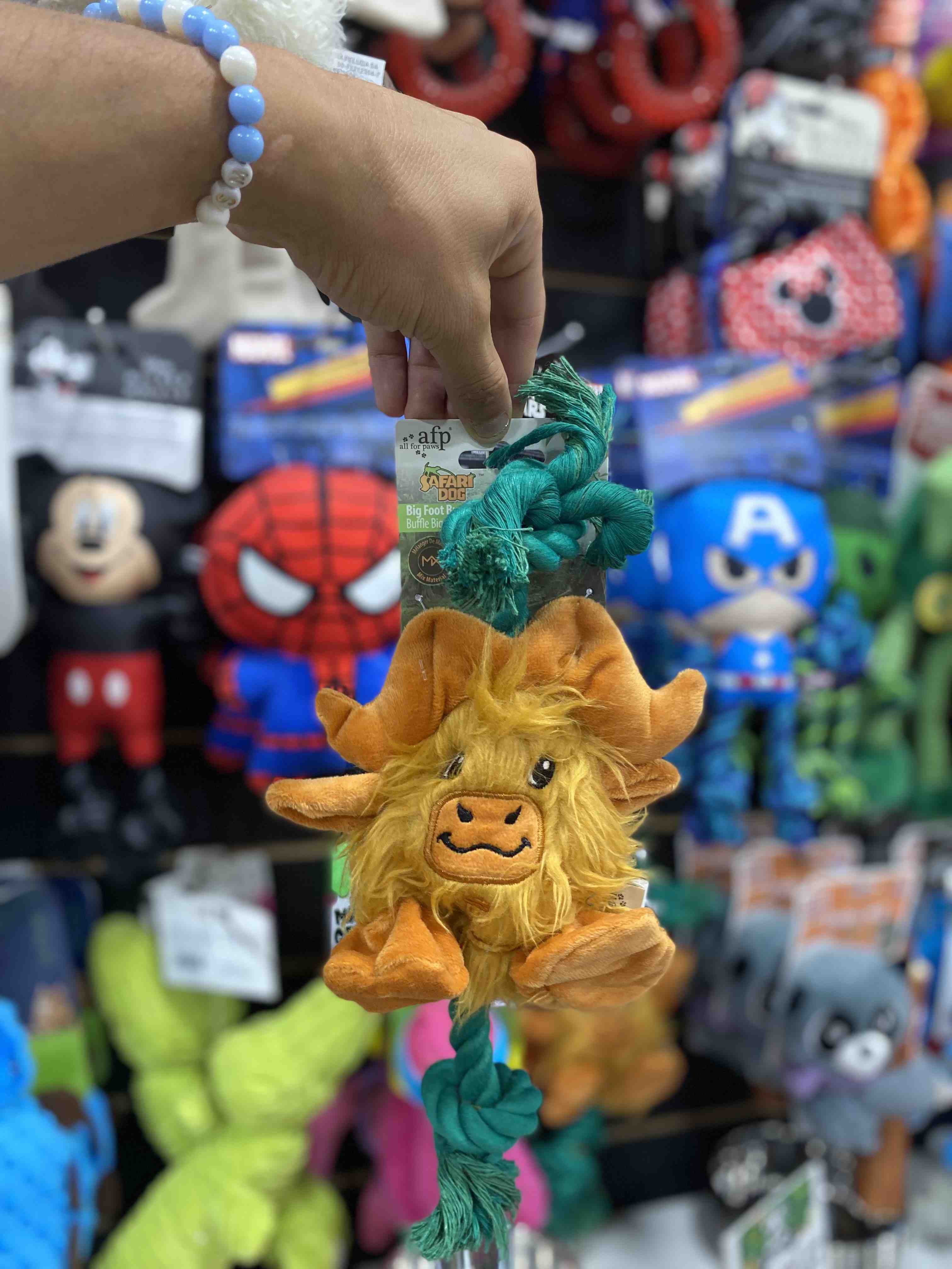 3705AFP  BUFFALO  SAFARI