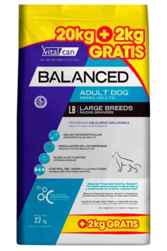 BALANCED ADULTO LARGE X 20 KG +2KG DE REGALO