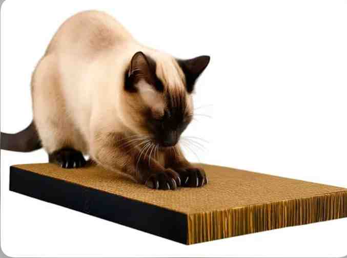 RASCADOR MODEL TABLA KING SIZE