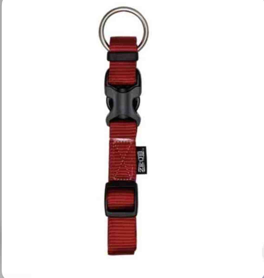 99501 COLLAR ZEUS BORDO S/P