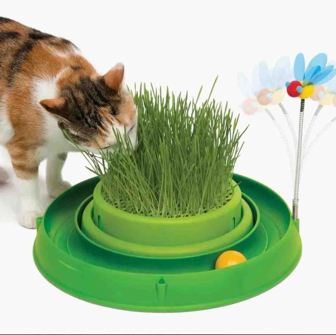 CATIT PLAY 3 EN 1