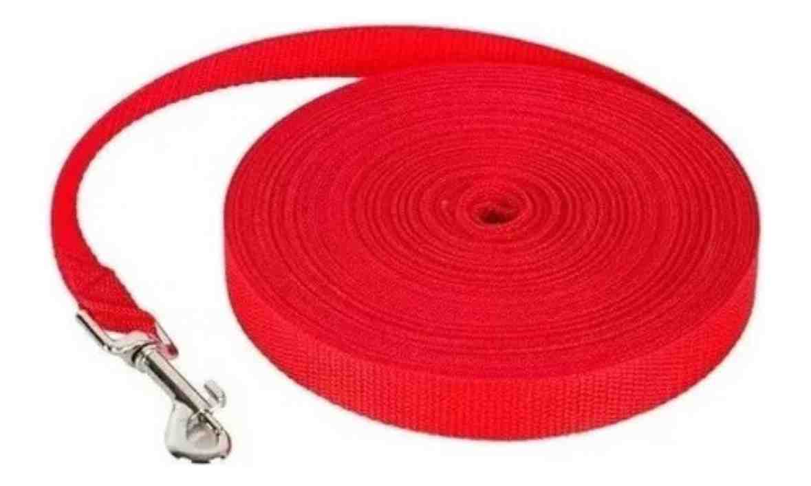 CORREA CLASICA 2,5 CM 5 METROS COLORES SURTIDOS