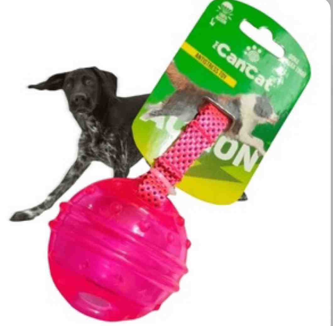 984 CAN CAT DONA PARA ARROJAR