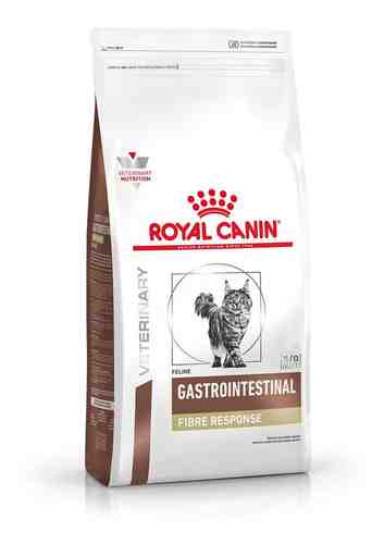 ROYAL  GATO GASTROINTESTINAL FIBRE  X2KG 